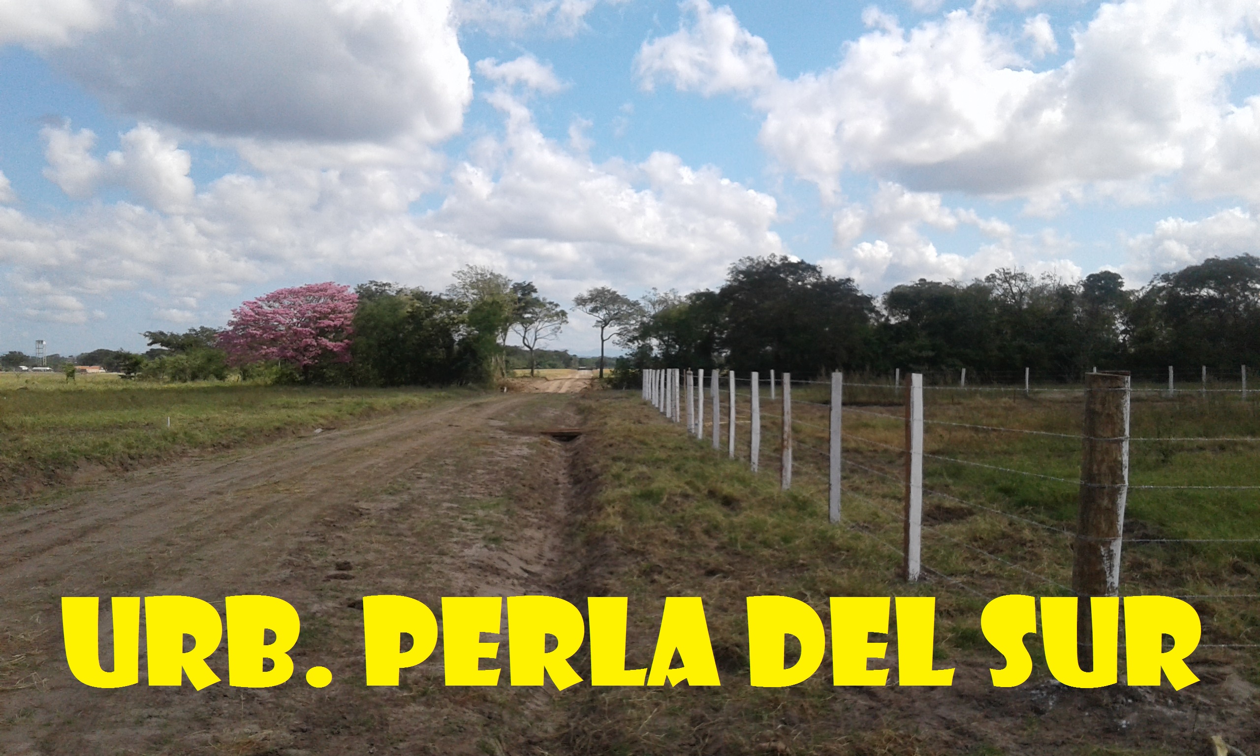 prin_ces